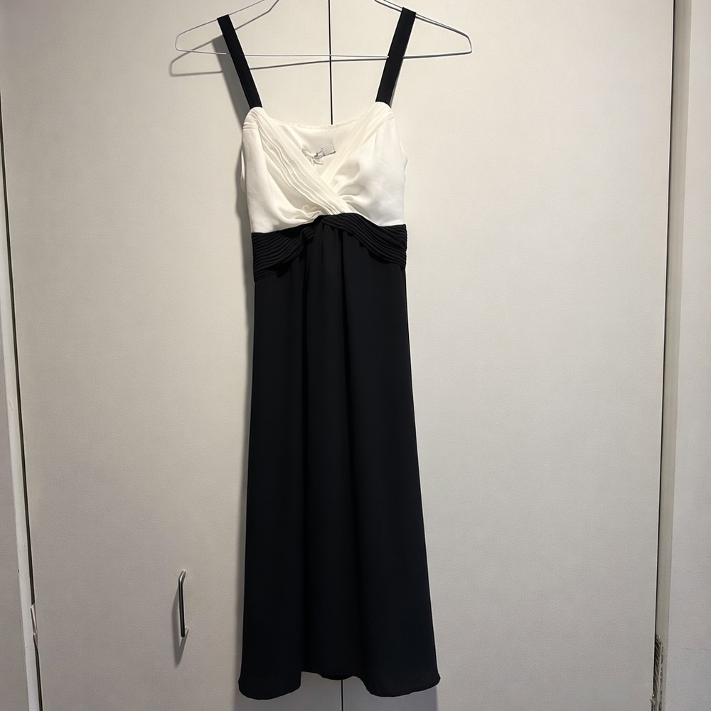 Sophie Gray Black and White Dress.